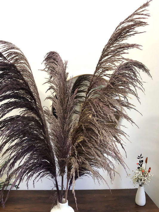 27 inches New, Pampas grass  prairie grass decoration, reed feathers, dried boho wedding floral arrangement -PAMPAS grass wholesale and dried flowers wholesale near me