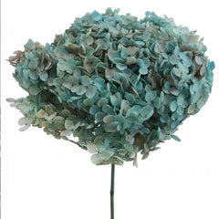 Preserved hydrangea flower,dried flower,home decor,burnt orange flower,wedding decor