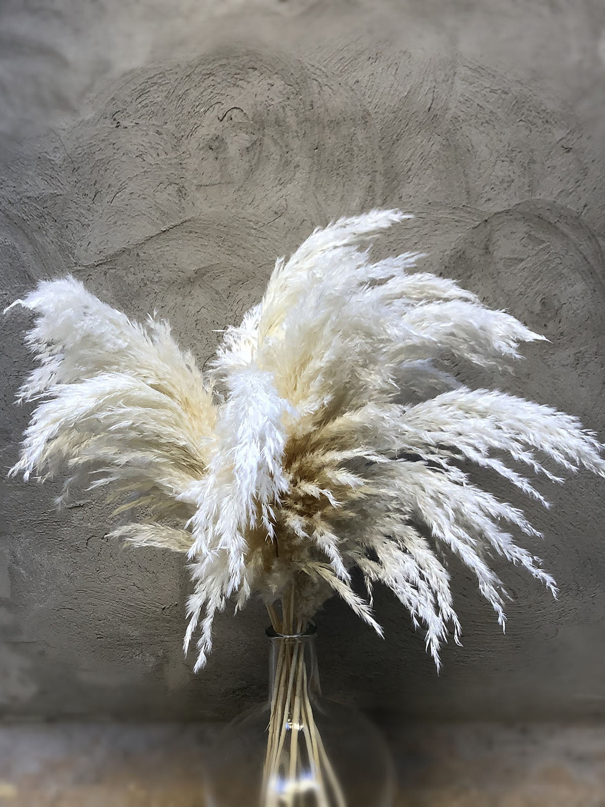 Wholesale Boho Wedding Decor Large Plume Dry Pampas Grass Flower Decor Natural Real Preserved Dried Pampas Grass. -PAMPAS grass wholesale and dried flowers wholesale near me