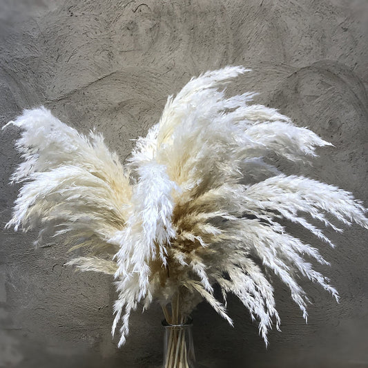 Wholesale Boho Wedding Decor Large Plume Dry Pampas Grass Flower Decor Natural Real Preserved Dried Pampas Grass. -PAMPAS grass wholesale and dried flowers wholesale near me