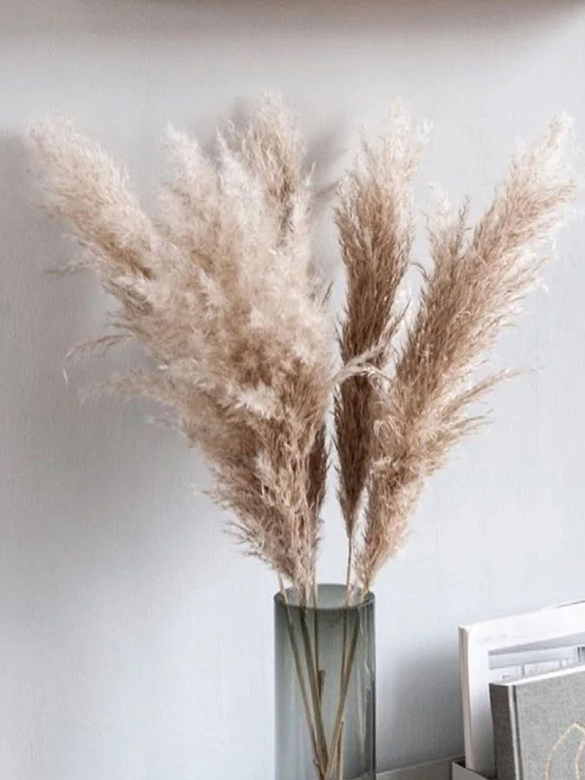 5 PCS ,South American prairie grass 34-35 inch natural dry South American prairie grass decoration, vase floral arrangement -PAMPAS grass wholesale and dried flowers wholesale near me