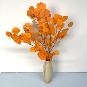 Immortal apple leaves, indoor flower arrangement, wedding flower,ho,e decoration.