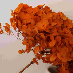 Preserved hydrangea flower,dried flower,home decor,burnt orange flower,wedding decor