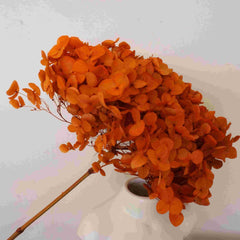 Preserved hydrangea flower,dried flower,home decor,burnt orange flower,wedding decor