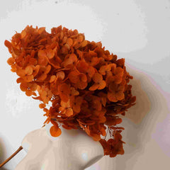 Preserved hydrangea flower,dried flower,home decor,burnt orange flower,wedding decor