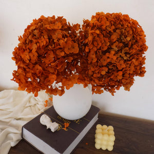 Preserved hydrangea flower,dried flower,home decor,burnt orange flower,wedding decor