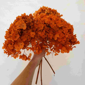 Preserved hydrangea flower,dried flower,home decor,burnt orange flower,wedding decor