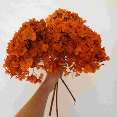 Preserved hydrangea flower,dried flower,home decor,burnt orange flower,wedding decor