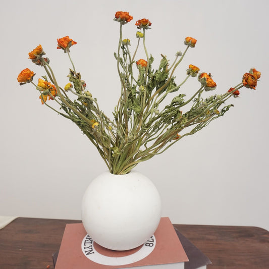 Ranunculus asiaticus，dried flower bouquet,dried flower materials,colorful flower,home decor