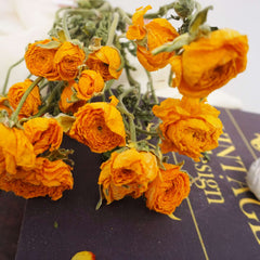Ranunculus asiaticus，dried flower bouquet,dried flower materials,colorful flower,home decor