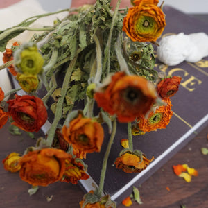 Ranunculus asiaticus，dried flower bouquet,dried flower materials,colorful flower,home decor