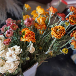 Ranunculus asiaticus，dried flower bouquet,dried flower materials,colorful flower,home decor