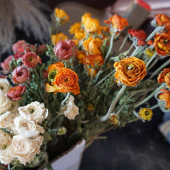 Ranunculus asiaticus，dried flower bouquet,dried flower materials,colorful flower,home decor