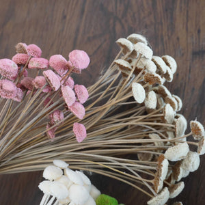 Button Pom，dried flower