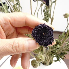 Ranunculus asiaticus ，Dried flower bouquet,