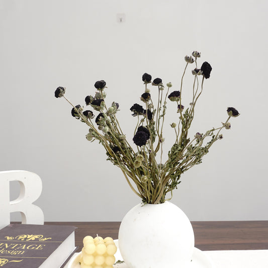 Ranunculus asiaticus ，Dried flower bouquet,