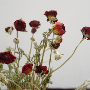 Ranunculus asiaticus ，Dried flower bouquet,
