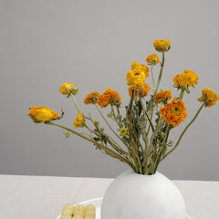 Ranunculus asiaticus ，Dried flower bouquet,