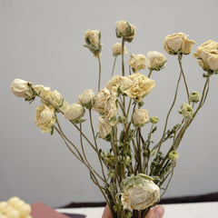 Ranunculus asiaticus ，Dried flower bouquet,