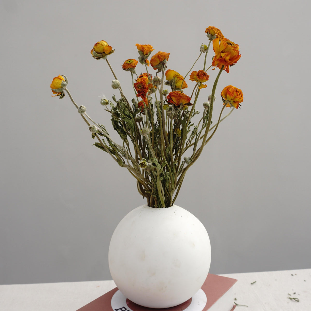 Ranunculus asiaticus ，Dried flower bouquet,