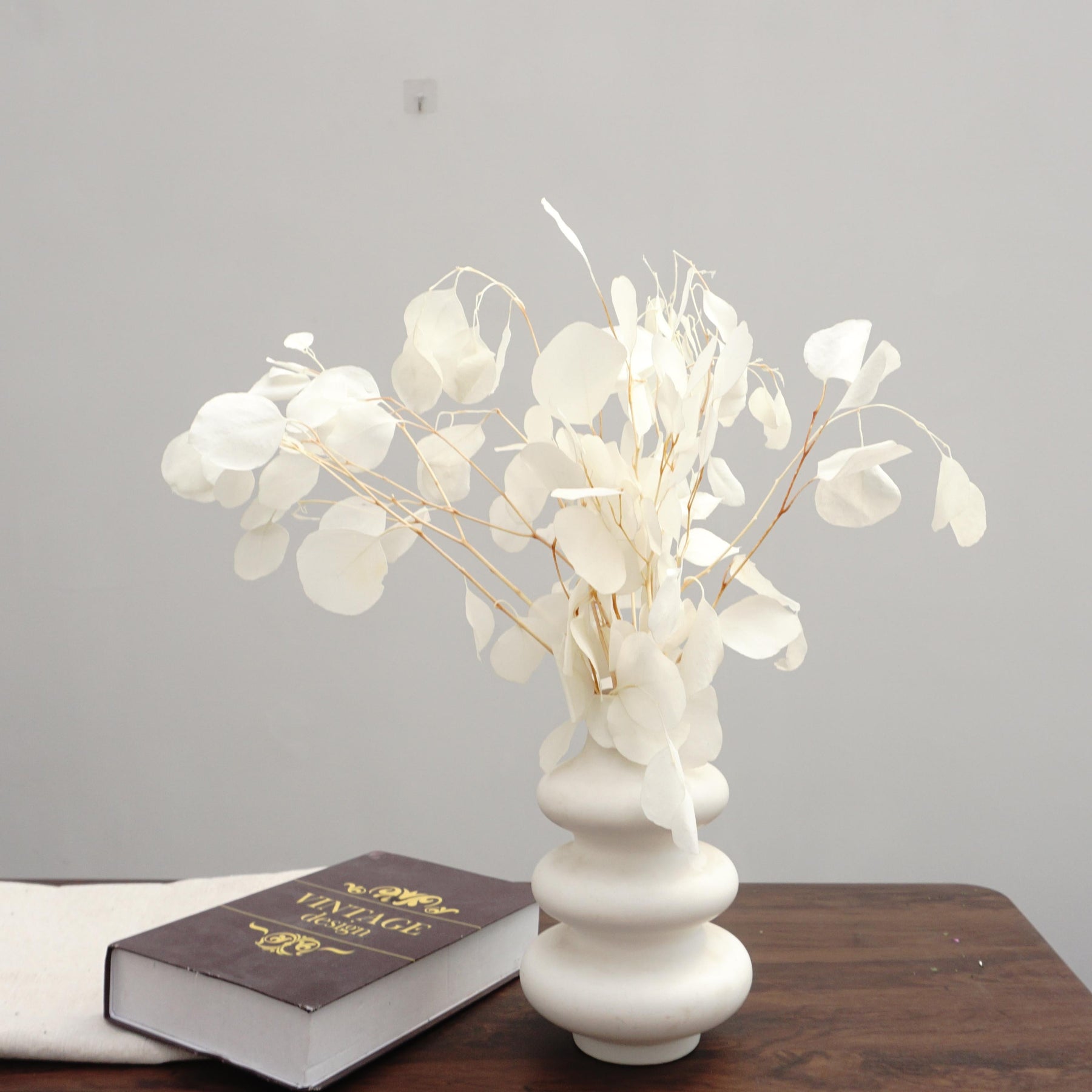 Eucalyptus,Preserved plants and flower