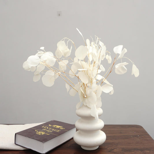 Eucalyptus,Preserved plants and flower