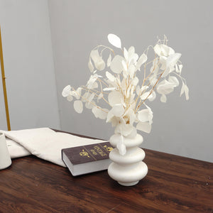 Eucalyptus,Preserved plants and flower