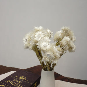 Dried flower bouquet,dried flower ,white color flower