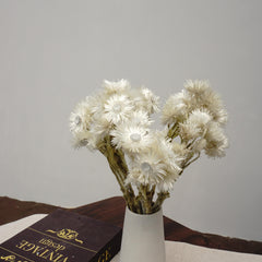 Dried flower bouquet,dried flower ,white color flower