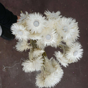Dried flower bouquet,dried flower ,white color flower