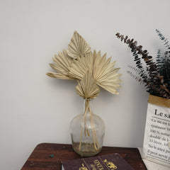 Palm leaves,home decor ,dried palm leaves