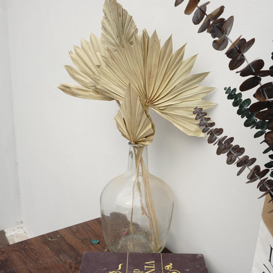 Palm leaves,home decor ,dried palm leaves