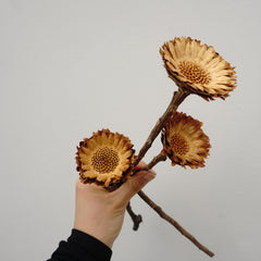 Sun flower