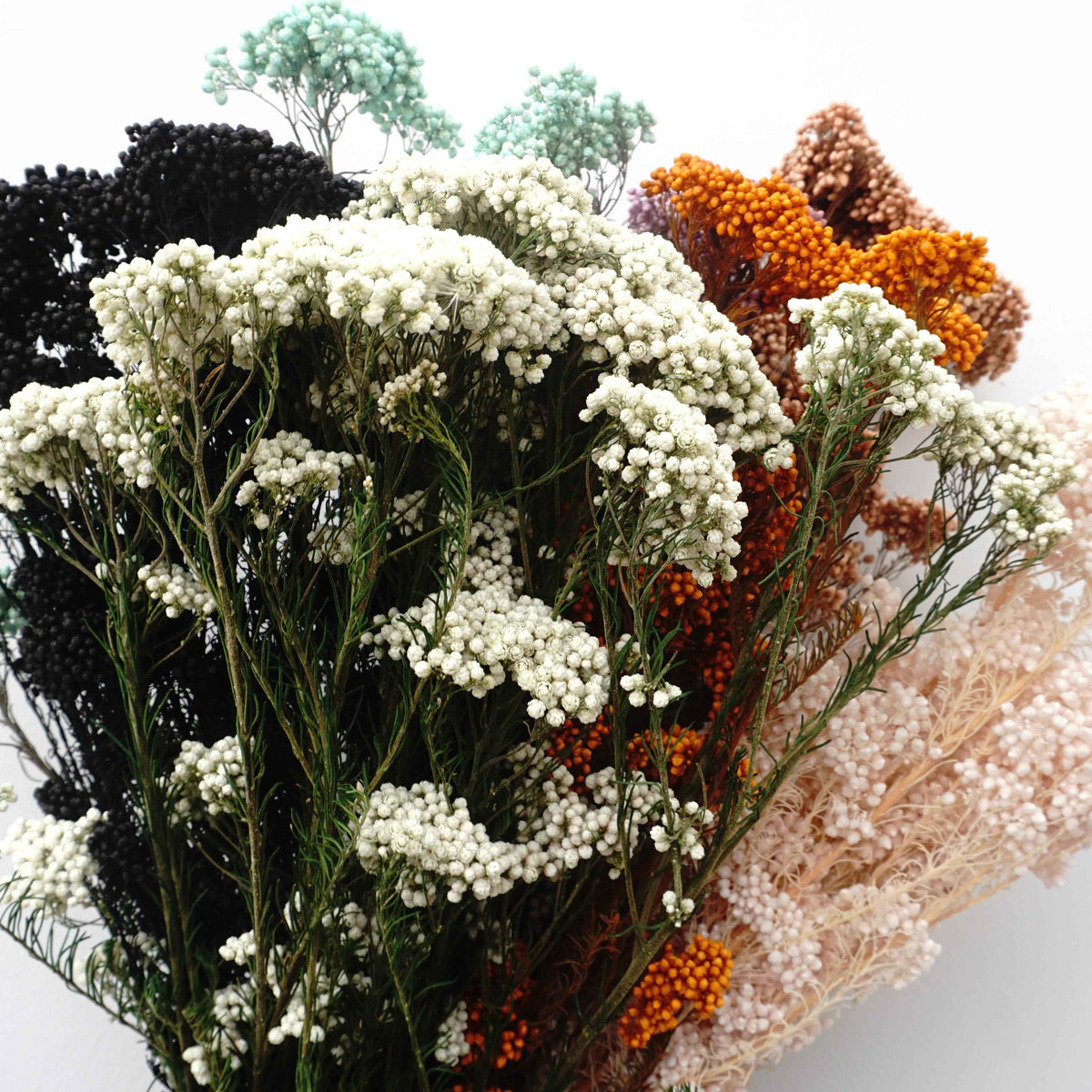 Preserved rice flower,home decor