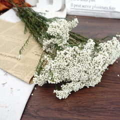 Preserved rice flower,home decor