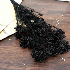 Preserved rice flower,home decor
