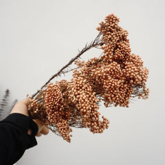 Preserved rice flower,home decor