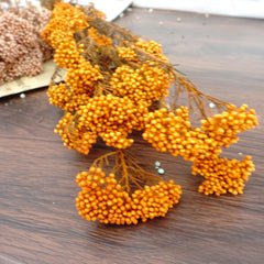 Preserved rice flower,home decor