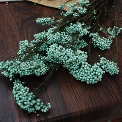Preserved rice flower,home decor