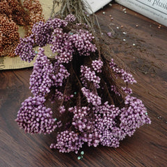 Preserved rice flower,home decor
