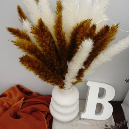 Small Pampas grass for home decor