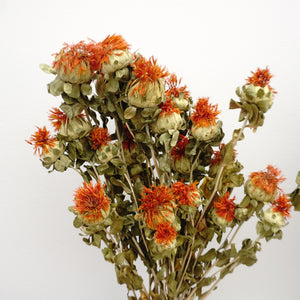 Dried flower ,materials for dried flower bouquet,45cm/17inches,burnt orange flower
