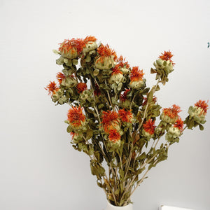Dried flower ,materials for dried flower bouquet,45cm/17inches,burnt orange flower