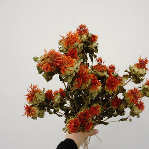 Dried flower ,materials for dried flower bouquet,45cm/17inches,burnt orange flower
