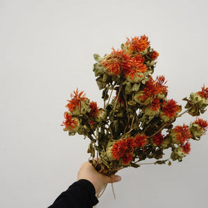 Dried flower ,materials for dried flower bouquet,45cm/17inches,burnt orange flower