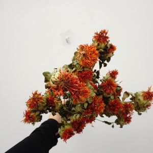 Dried flower ,materials for dried flower bouquet,45cm/17inches,burnt orange flower