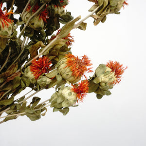 Dried flower ,materials for dried flower bouquet,45cm/17inches,burnt orange flower