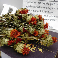 Dried flower ,materials for dried flower bouquet,45cm/17inches,burnt orange flower