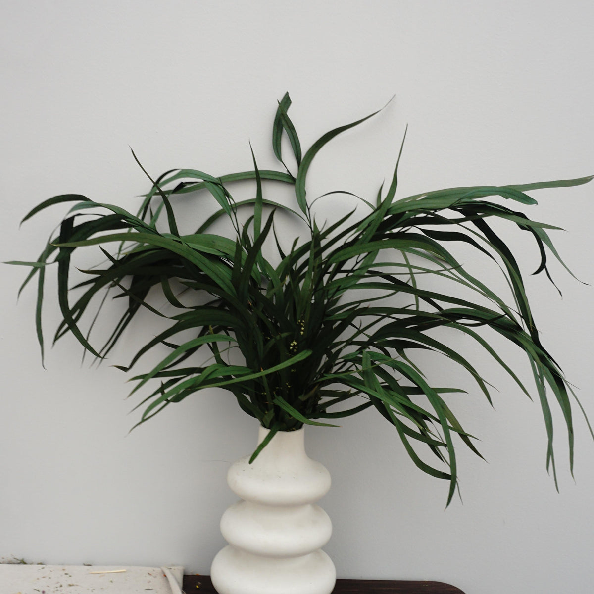 Preserved eucalyptus