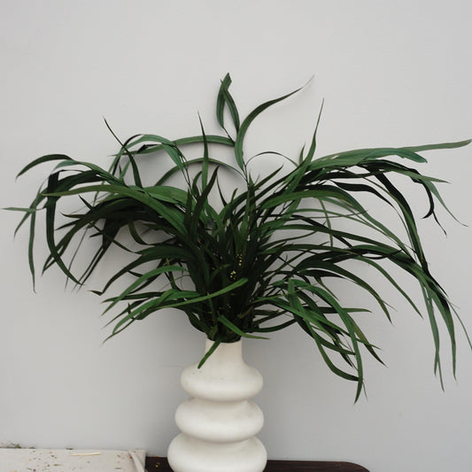 Preserved eucalyptus